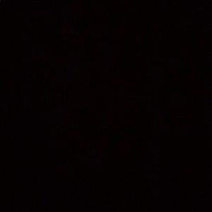 Meet your Posher, Ella